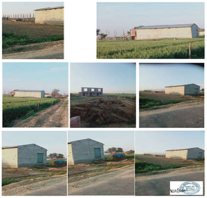 Ms Baig Poultry Feeds 227242